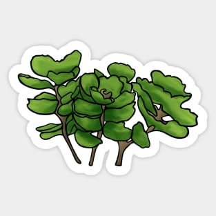 One Sassy Succulent Sticker